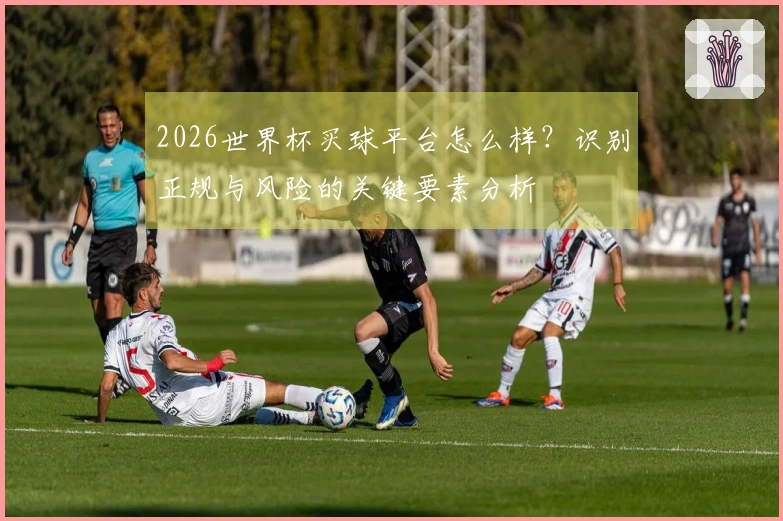 2026世界杯买球平台怎么样？识别正规与风险的关键要素分析