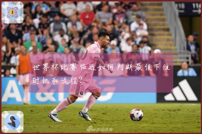 世界杯比赛临近如何判断最佳下注时机和流程？